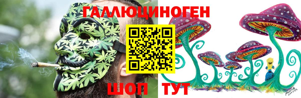 Махачкала  Галлюциногенные грибы ЛСД  Вход с VPN 